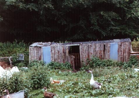 The old goatshed...